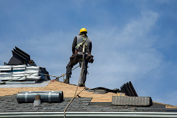 Professional Storm Damage Roof Repair technician working in Stony Point, MI