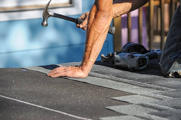 Affordable Storm Damage Roof Repair solutions in Stony Point, MI